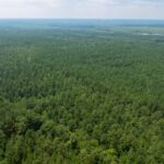 New lawsuit alleges unfair secrecy around Effingham data center